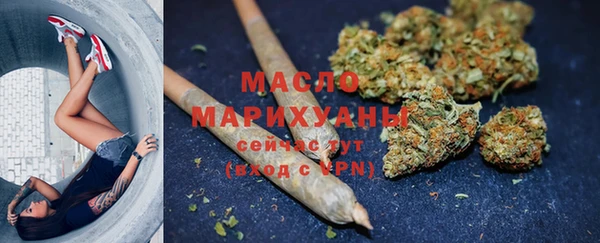 прущие грибы Каменногорск