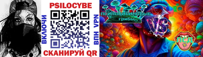 Псилоцибиновые грибы мухоморы Балтийск