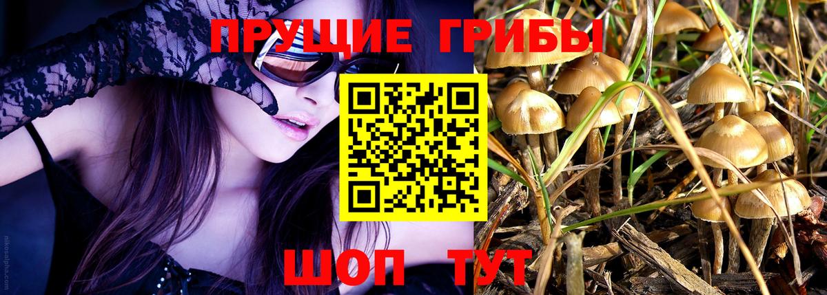 Псилоцибиновые грибы GOLDEN TEACHER  Псилоцибиновые грибы мицелий  Балтийск  Вход с VPN 
