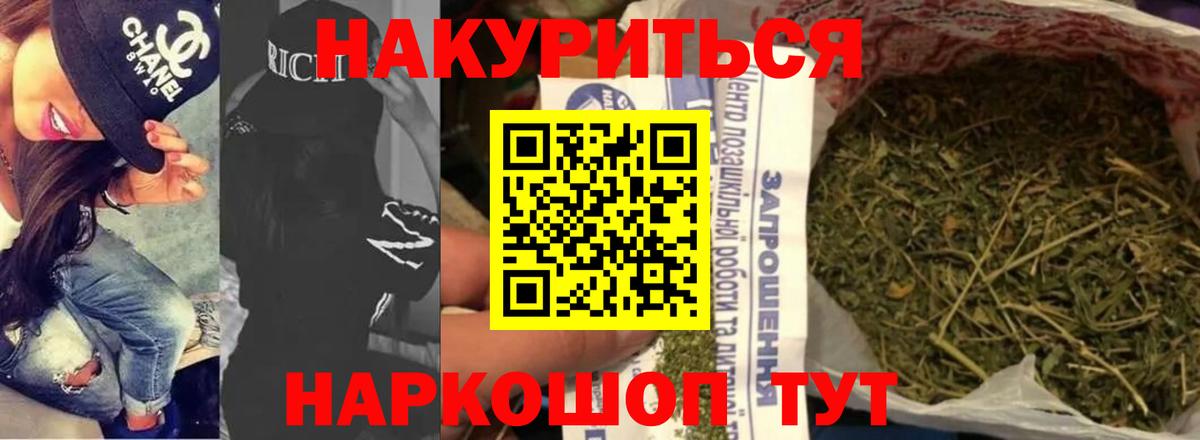 Бошки марихуана SATIVA & INDICA  Балтийск  Бошки марихуана сатива  Шишки марихуана план  Каннабис White Widow 